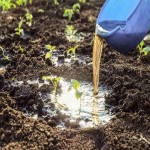 Liquid Fertilizer Prices in South Africa