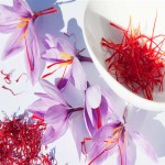 Fermond Saffron Price in India