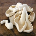 Oyster Mushroom Price in Kerala