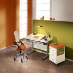 Study Desk Price in Nepal