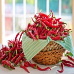 Cayenne Pepper; Indian Orange Hot Spicy Bell Pepper
