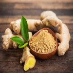 Ginger Powder Per Kg; Medical Usage Fat Burning Obesity Lower Blood Cholesterol 