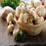 Fresh Mushroom (Toadstool) Different Colors Shapes Sizes Identified 38 Thousand Types