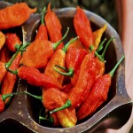 Ghost Pepper; Common 3 Colors Red Yellow Orange Chocolate Rough Smooth