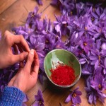 Baby Saffron in Delhi; Anti Depressant Uplifting Drug Improve Sleep Cycle Memory