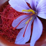 1 Kg Saffron in Uae; Boost Immune System 3 Types Sargol Nagin Super Nagin