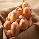 Yellow Onion Per Pound (Multi-Purpose) Sweet Less Calcium More Irone Manganese Zinc