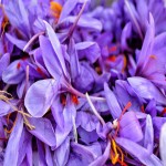 Zaran Saffron in India; Used Food Industry Seasoning Utilised Medical Industry