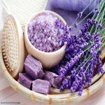 Irish Spring Soap in Canada; Antioxidant Antimicrobial 3 Made Olive oil Palm Kernel Coconut 