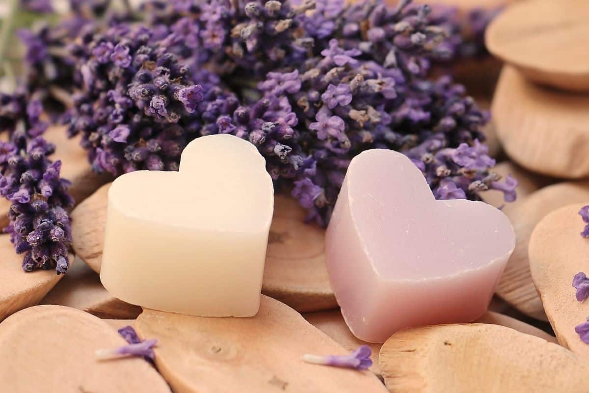 Irish Spring Soap in Nigeria; Glycerin Content 3 Types Oily Mixed Normal