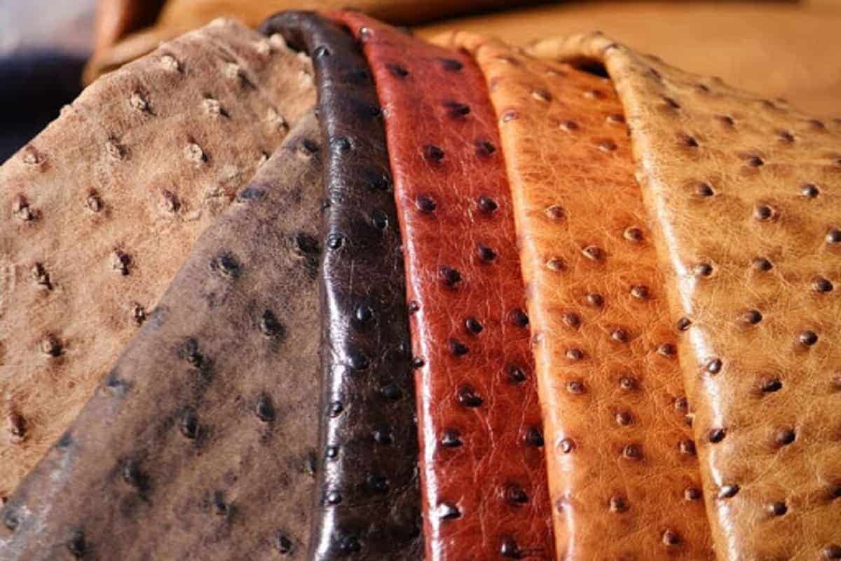 Ostrich Leather in India; Durable Against Heat Humidity Soft Special Ridges