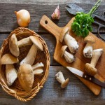 Porcini Mushroom in India (Stone Mushroom) Meaty Texture Convex Shape Weight Loss