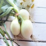 Sri Lanka Onion for 1Kg Today; Taste Strong Sweet Properties Antimicrobial Antibacterial Anti Inflammatory
