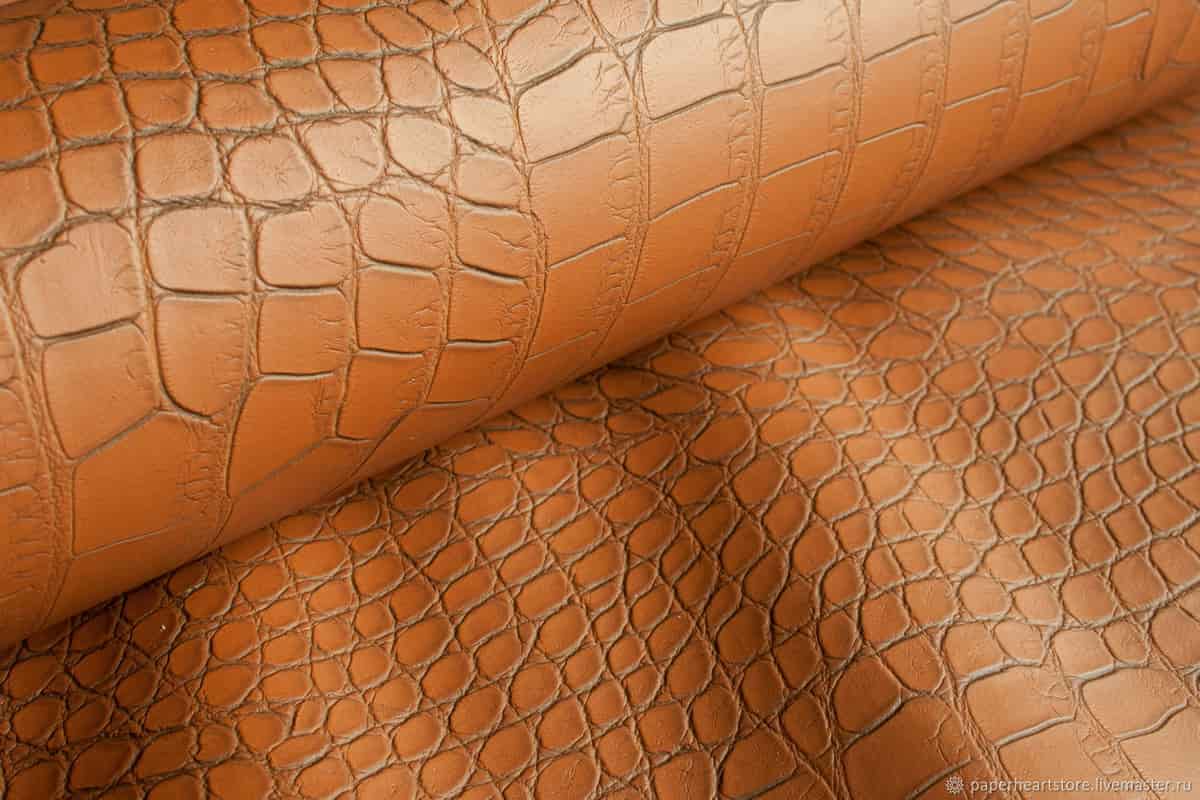 Crocodile Leather in India; Use Shoes Belts 3 Country Africa Asia Americas