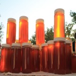 Raw Honey Per Pound; Features Unheated Unfiltered Properties Antibacterial Antifungal