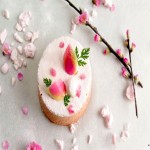 Bento Cake in Kolkata; Raw Materials Fresh Ingredients Exposure Small Box