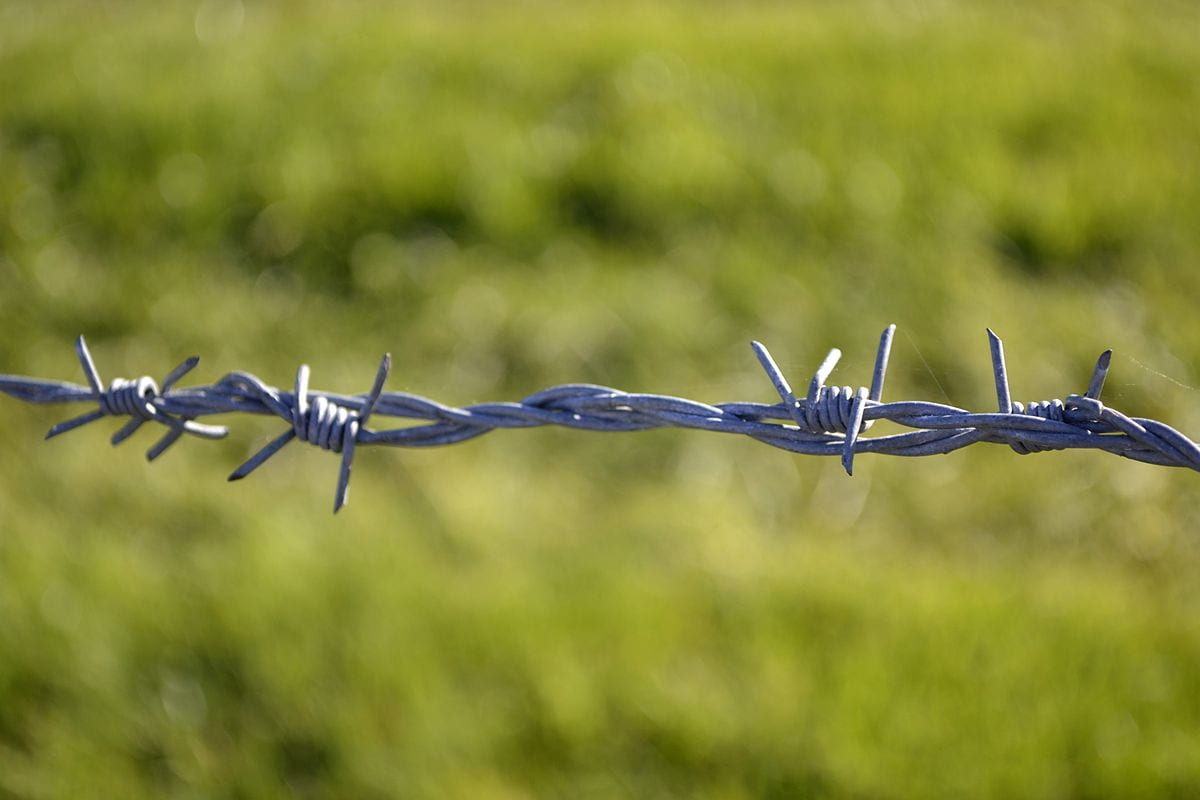 Double Strand Barbed Wire; Increase Security Galvanize Material