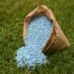 Boron Fertilizer Per Kg; Plants Nutrients Helping Reproduction Structure Maintenance
