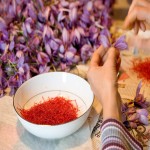 American Saffron Per Kg; Safflower Sweet Flowery Taste Food Drinks Usage