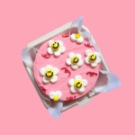 Bento Cake in Delhi; Various Dimensions Vitamins E B C D