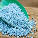 Dap Fertilizer in Pakistan; Nitrogen Phosphorus Source Feeding Soil Promotes Healthy Flower