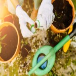 Liquid Fertilizer in Sri Lanka; Turbid Corrosive 3 Material Ammonia Ammonium Nitrate Urea