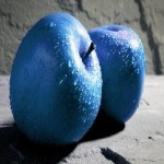 Blue Apple Fruit; Juicy Crisp Flesh Crimson Colored Outer Inside White