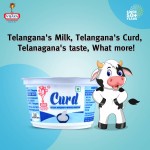 Vijaya Curd 500 gm (Dairy) Fat Carbohydrates Proteins Calcium Energy Source