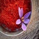 Taj Mahal Saffron in Dubai (Red Gold) Contains Crocin Picrocrocin Safranal