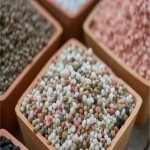 Potassium Nitrate Fertilizer in India; Thin White Keep Crops Plants greenery fresh healthy