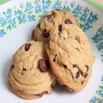 Butter Cookies in India; Vanilla Cardamom Flavor 350 gr Dry Texture Long Lasting