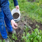 Bone Meal Fertilizer in India (Organic Bone Meal) High Phosphorus