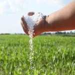 Natural Plant Fertilizer; Contains Nitrogen Phosphorus 2 Forms Powder Liquid