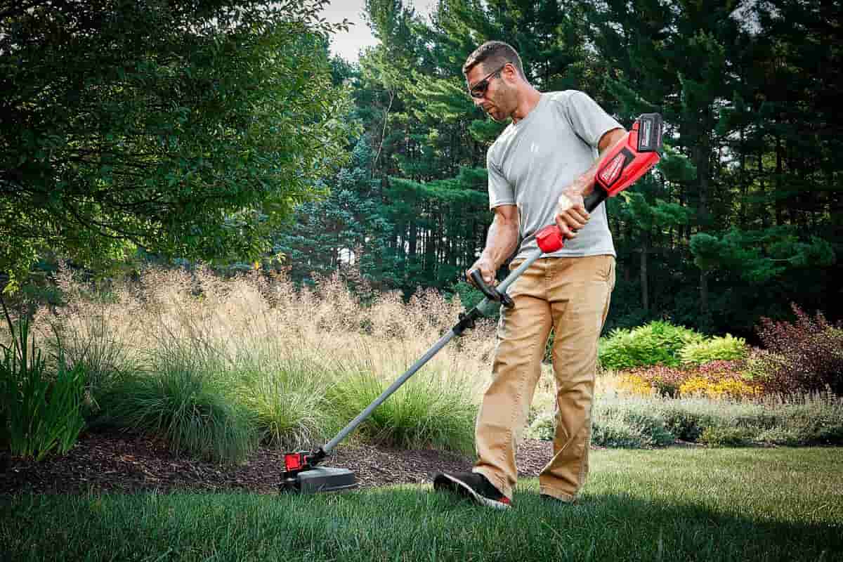 Brush Cutter in Coimbatore (Mower) Adaptable Portable D Shaped Handle Compact Volume