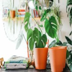 Plastic Flower Pot in Bangladesh; Fiberglass 3 Shapes Circular Square Rectangular Indoor Outdoor