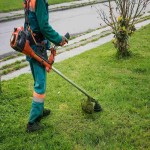 Brush Cutter in Pakistan; Cylinder Rotary Machine Agricultural Horticultural Affairs Usage