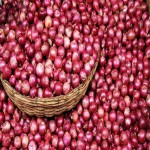 Small Onion Price Today