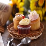 Small Cake in Pakistan (Muffin) Vanilla Chocolate Fruit Nut Flavor Low Sugar