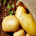 1 Kg Potato in Pakistan Today; Carbohydrates Calories Source Yellow Brown Pink Red Purple