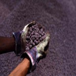 Pdri Sponge Iron; Easy Transport Long Time Storage 2 categories Cold Soft