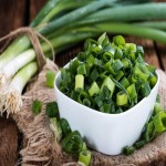 Green Onion in India (Scallion) Glossy Rigid Leaves Crisp Juicy Pungent Taste