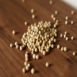 White Pepper 50G (Piper Nigrum) Reduce Digestive Problems 2 Minerals Magnesium Calcium