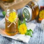 Dandelion Leaf Extract (Taraxacum) Contain Calcium Strengthen Bones Eye Health