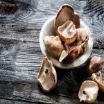 Shiitake Mushroom in Nepal (Lentinus Edodes) Fresh Dry Usage Beefy Creamy Flavor