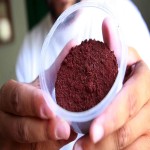 Cochineal Extract Halal; Non Toxic Food Color (Pink Orange Purple)
