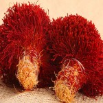 Jk Agro Saffron (Crocus sativus) Crocin Crocetin Antioxidant prevent brain cells oxidation