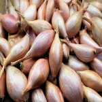Small Onion Today in Trichy (Shallot) Smooth Surface Fleshy Juicy Layers