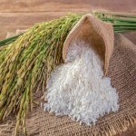 Bag Of Rice in Liberia; White Brown Black 4 Mineral Iron Zinc Selenium Phosphorus