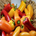 Long Bell Pepper; Green Red Orange Yellow Spicy Sweet Taste Elongated Shape