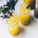 Price and purchase of sour lemon icing recipe + Cheap sale